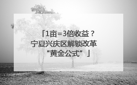 1亩=3倍收益？宁夏兴庆区解锁改革“黄金公式”